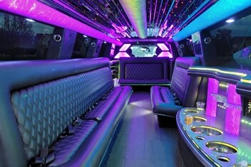 Orem Limo Interior